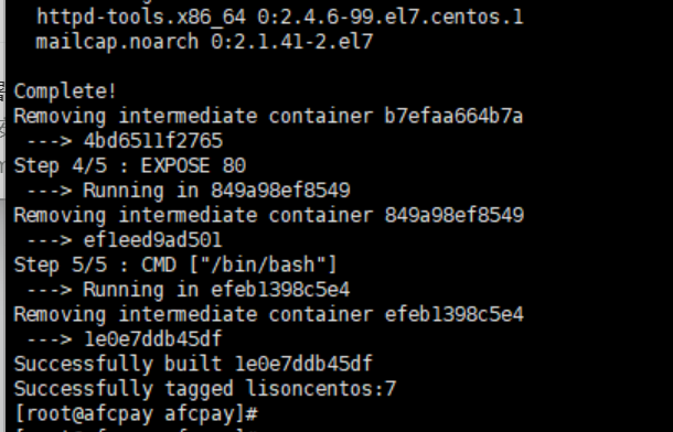 python+centos7基础镜像的docker - 图1