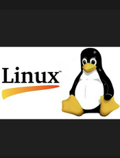 Linux系统