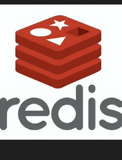 redis